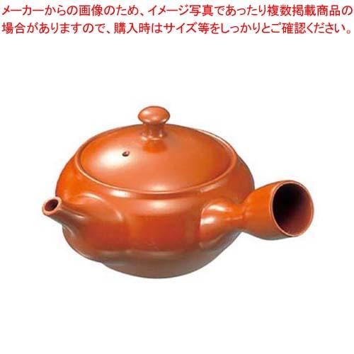 急須 A-1 1.6号 320cc 陶器製