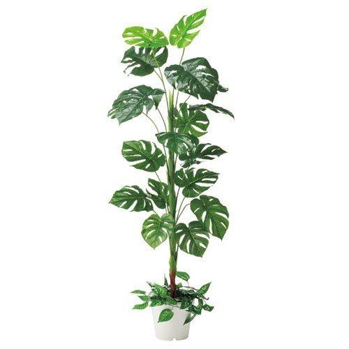 モンステラ(人工樹木)1台