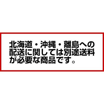 小型豆腐製造装置 豆クック Mini (電気式)【豆腐器 豆腐製造機 業務用 メーカー直送/代引不可】｜meicho｜02