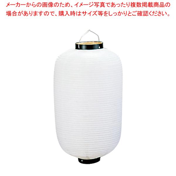 ビニール提灯長型 30号 白ベタ イベント 販促用 B431 ３０号 白ベタを激安価格で販売しているネット通販ページです 2 1810 0914 ビニール提灯長型 メーカー直送 代引不可 2 1810 0914 白ベタ 厨房卸問屋名調 とっておきし新春福袋 の