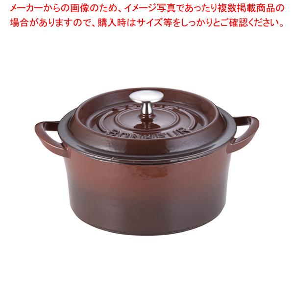 両手鍋 22cm ホーロー 琺瑯 ココット ボン・ボネール キャセロール 鉄 