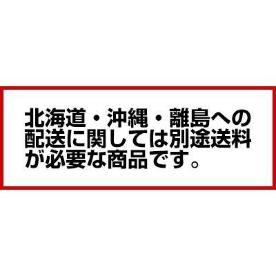 東製作所 業務用一槽水切シンク ポータブルシリーズ EKPM1-800R｜meicho｜06