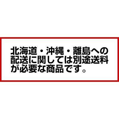 シンク 業務用一槽シンク 東製作所 アズマ KP1-400 400×450×800 シンク 業務用一槽シンク 東製作所 アズマ KP1-400 400×450×800