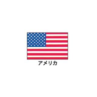 旗(世界の国旗)　エクスラン国旗　アメリカ　取り寄せ商品
