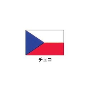 旗(世界の国旗)　エクスラン国旗　チェコ　取り寄せ商品