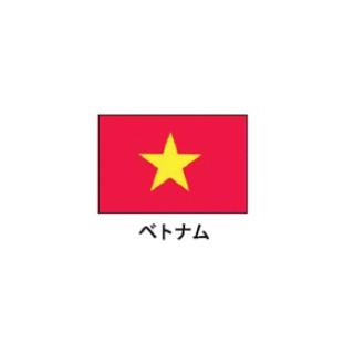 旗(世界の国旗)　エクスラン国旗　ベトナム　取り寄せ商品
