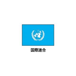 旗(世界の国旗)　エクスラン国旗　国連　取り寄せ商品