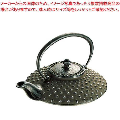 岩鋳 鉄平 あられ燗瓶 0.5l 13-001