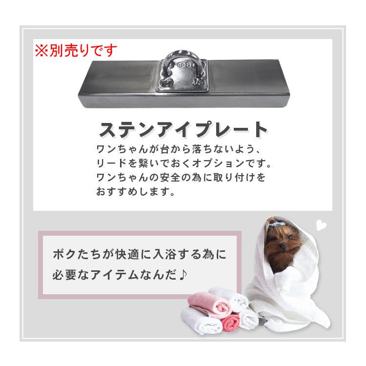 ステンレス ドッグバス[扉付き] 1200×550×900 BG無 SUS430