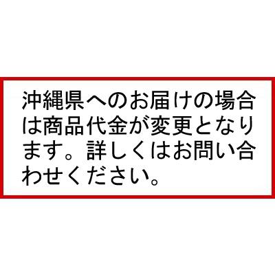 パナソニック 業務用冷凍ストッカー スライド扉タイプ SCR-CDS66 パナソニック 業務用冷凍ストッカー スライド扉タイプ SCR-CDS66