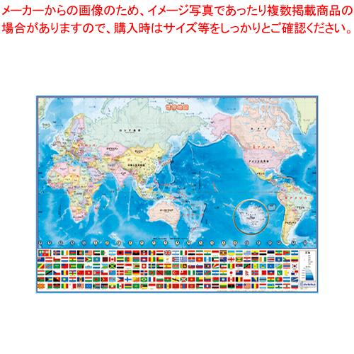 デビカ いろいろ書ける！消せる！世界地図 073102 1枚