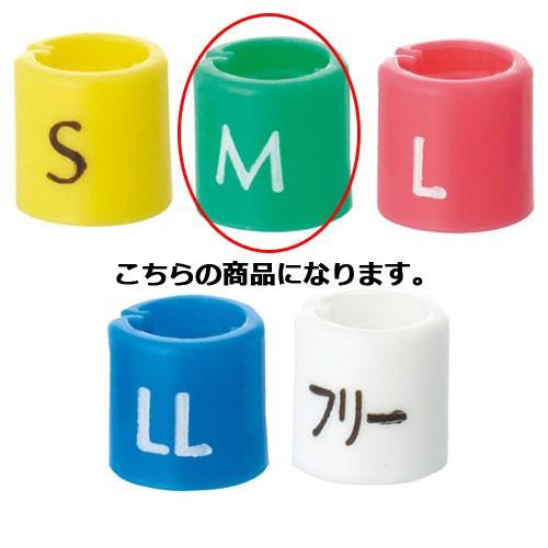 DHとDRのための歯周ポケット鑑別ガイド（歯ブラシコーディネート