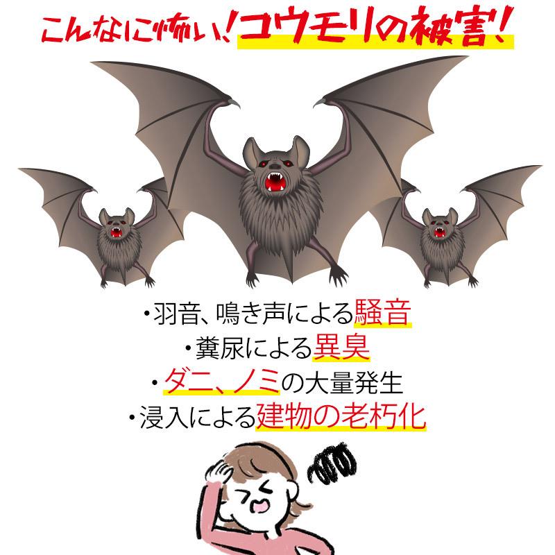 Keep Away コウモリ駆除用忌避剤 天然成分 コウモリ バイバイ 50g 4袋入り よけ 避ける 置くだけ 駆除 害獣忌避 こうもり 蝙蝠 退治 業務用 野外用 室内用 00 00 メイダイyahoo 店 通販 Yahoo ショッピング