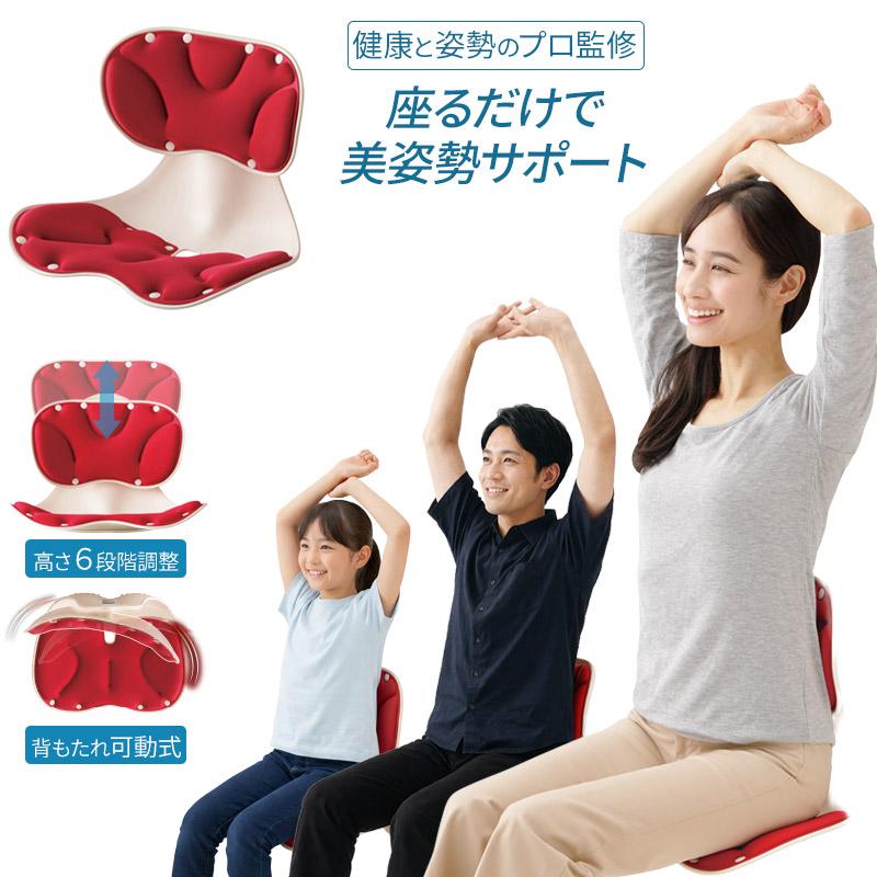 腰にピタッと美姿勢チェア サポートチェア 姿勢 骨盤サポート ケア