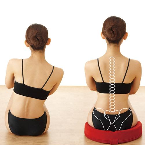 骨盤矯正 クッション オフィス用 腰痛 猫背 メイダイ 勝野式 M.D.P.