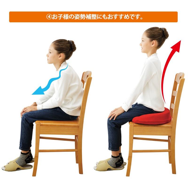 骨盤矯正 クッション オフィス用 腰痛 猫背 メイダイ 勝野式 M.D.P.