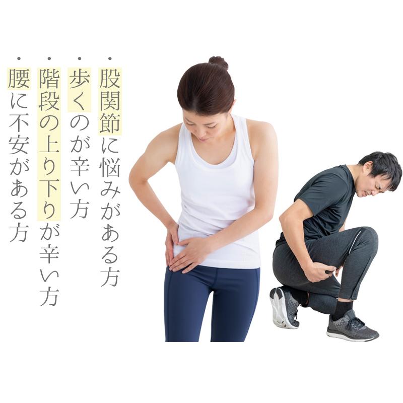 股関節サポーター M D P 楽歩人バランスサポーター M Ll 腰 太もも 痛み ベルト ガードル 腰痛 歩行サポート 骨盤 補整 補正 補助 矯正 勝野式 メイダイyahoo 店 通販 Yahoo ショッピング