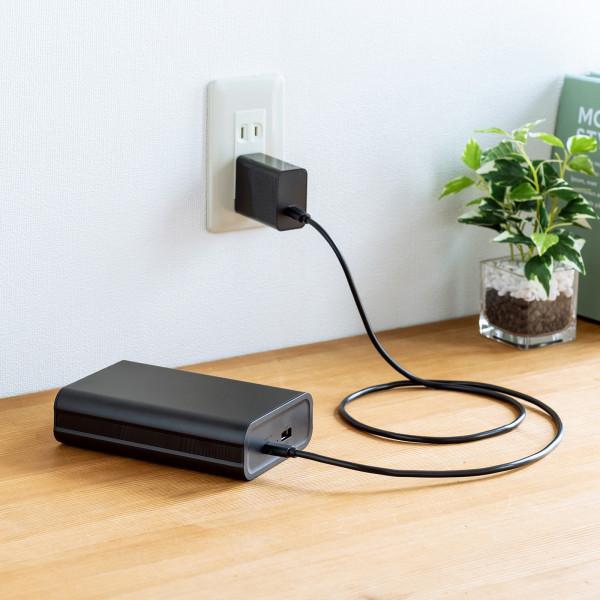 SANWA SUPPLY（サンワサプライ） BTL-RDC24 USB Power Delivery対応
