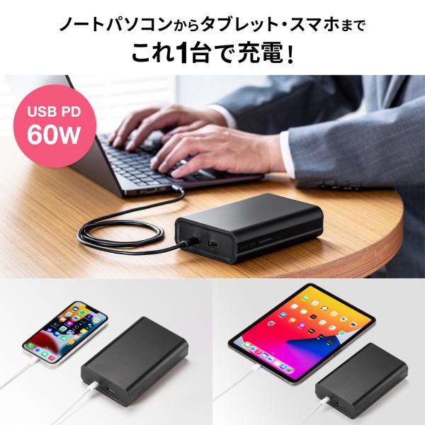 SANWA SUPPLY（サンワサプライ） BTL-RDC24 USB Power Delivery対応