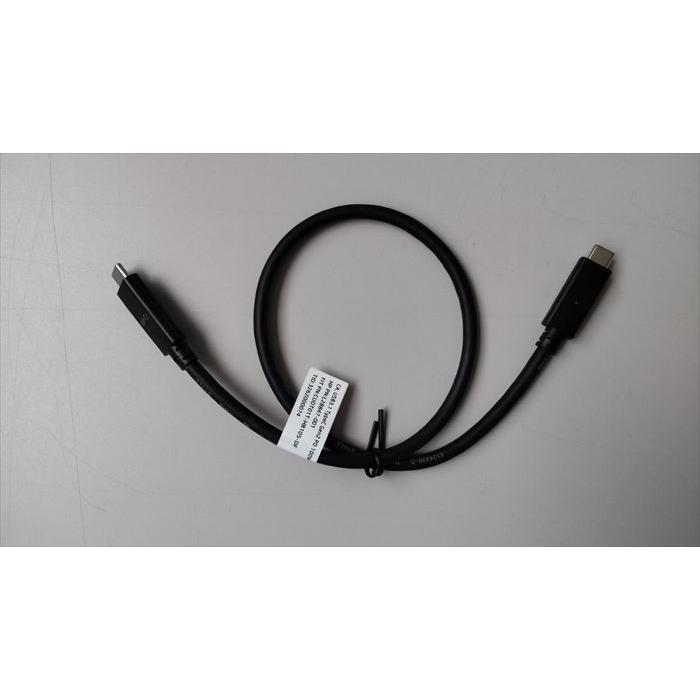 USB3.1 TypeC Gen2 PD 100W L28847-001 ** : meidentsu shop - 通販
