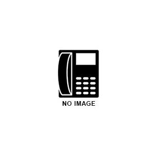 NTT ZX-DCL-PSSET-(2)(K) コードレス電話機セット(黒)【新品