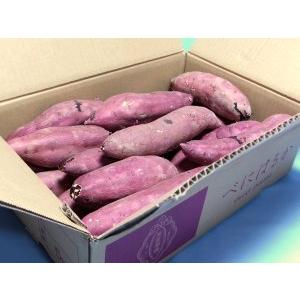 紅はるか[鹿屋産さつまいも：生芋]Lサイズ5kg(鹿児島：南橋商事