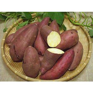 紅はるか[鹿屋産さつまいも：生芋]Lサイズ5kg(鹿児島：南橋
