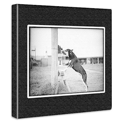 犬 動物 アートパネル 15cm × 15cm Sサイズ 日本製 ポスター おしゃれ インテリア 模様替え リビング 内装 モノクロ 写真