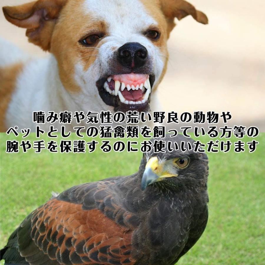 Gree ペットグローブ ホワイト ロング手袋 保護手袋 厚手 噛みつき 引っかき 手袋 爬虫類 牛革 犬 猫 白色 耐久性 肘までガード 90 以上節約 牛革