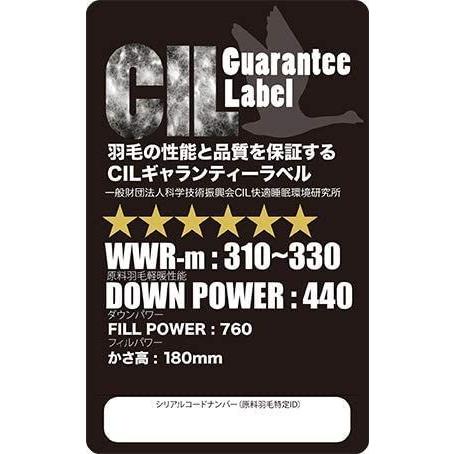 【新品 未使用 日本製】 羽毛布団 クイーン ドイツ産 ジャーマンキングスター ホワイト マザーグースダウン 95％ 二層立体 ツインキルト 無地キナリ 60サテン 【E1526499838】(54527円)