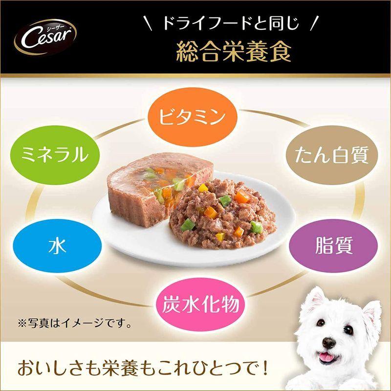 シーザー ドッグフード 14歳からの 吟選ビーフ 野菜・玄米入り シニア犬用 100g×96個 (ケース販売) ドッグフード 14歳からの 吟選ビーフ 野菜 玄米入り シニア犬用 100g×96個 ケース販売