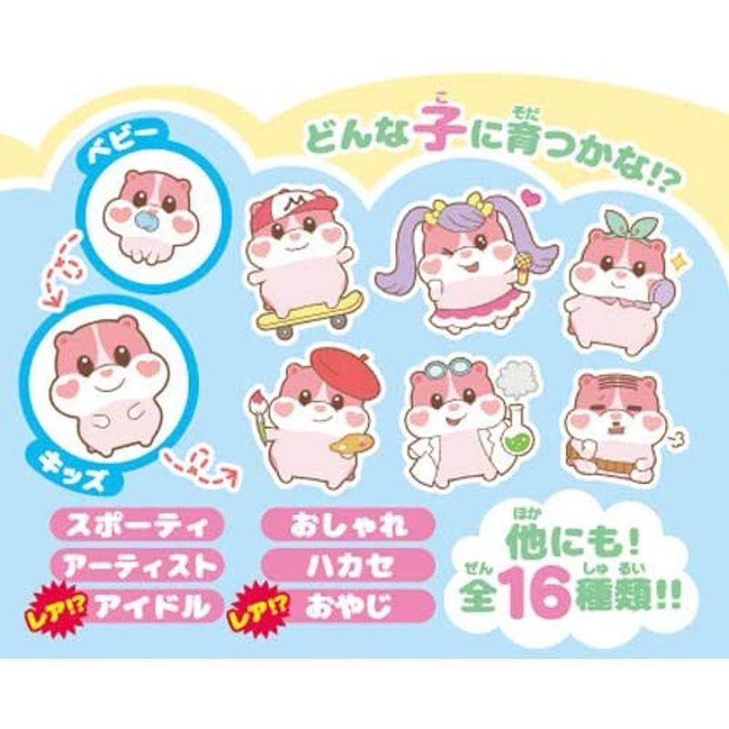 もっちまるず もっちりペット もっちまるず ベリー 92×95×55 もっちまるず もっちりペット ベリー 92×95×55