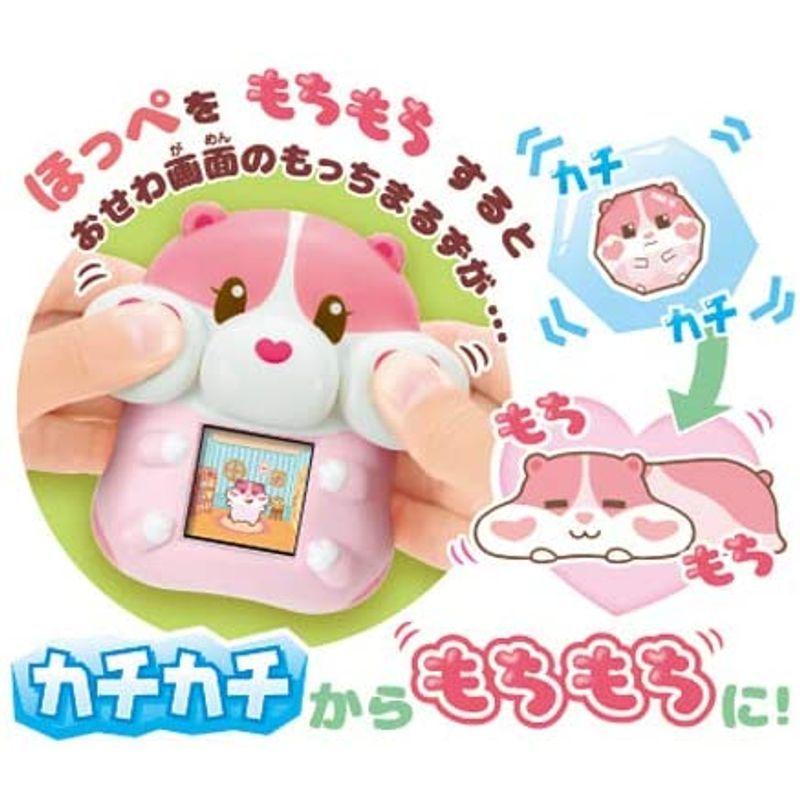 もっちまるず もっちりペット もっちまるず ベリー 92×95×55 もっちまるず もっちりペット ベリー 92×95×55