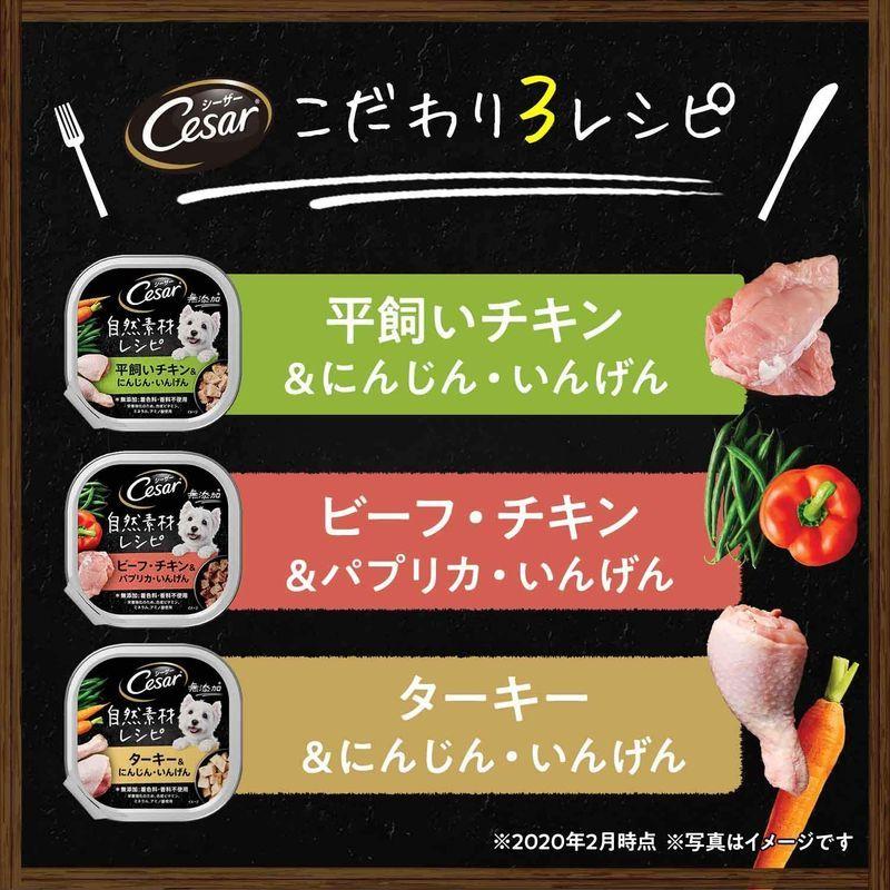 シーザー ドッグフード 自然素材レシピ 平飼いチキン&にんじん・いんげん 85g×112個 (ケース販売) ドッグフード 自然素材レシピ 平飼いチキン&にんじん いんげん 85g×112個 ケース販売