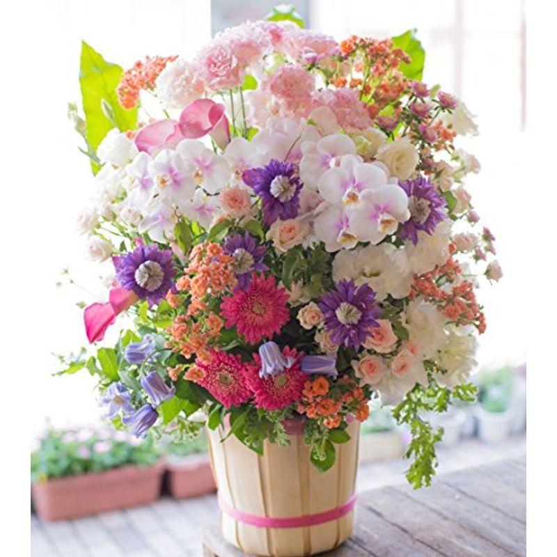 アレンジメントフラワー 生花 ギフト 3Lサイズ イメージ(可愛い)大臣賞受賞デザイナー おまかせアレンジメント
