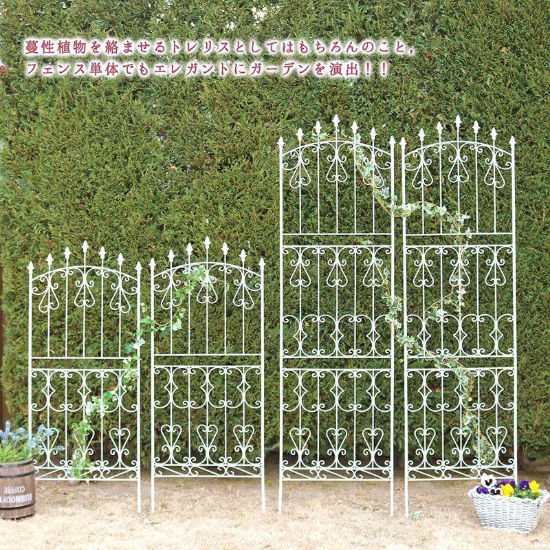 ガーデンガーデン アイアンローズフェンス ロータイプ 高さ150cm×幅62cm 2枚セット ホワイト トレリス IFROSE150CP2P 高さ150cm×幅62cm 2枚セット アイアンローズフェンス ロータイプ ホワイト トレリス IFROSE150CP2P サイズ