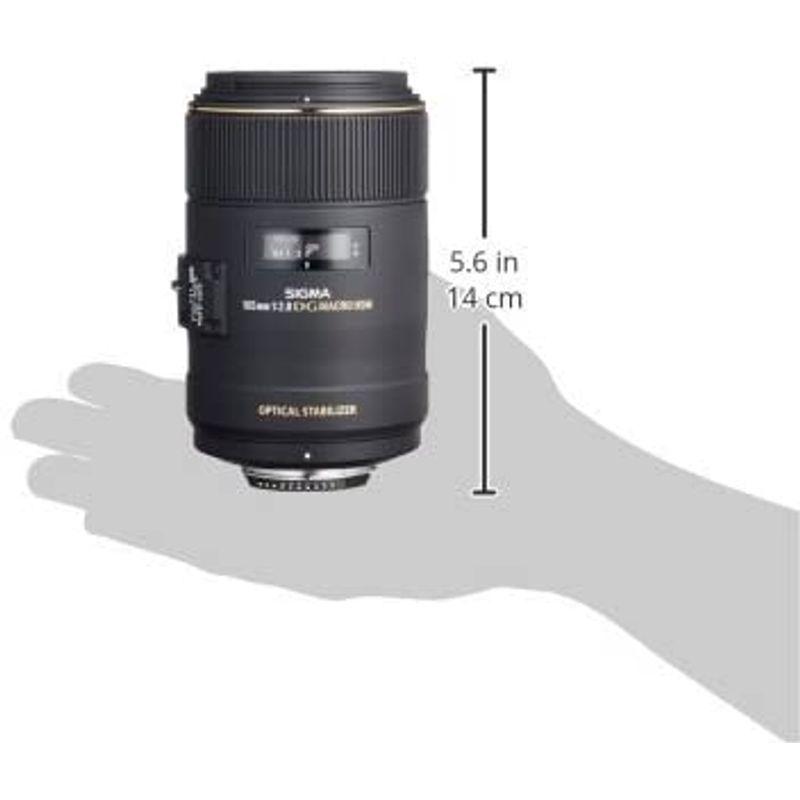 2026年 SIGMA 単焦点マクロレンズ MACRO 105mm F2.8 EX DG OS HSM ニコン用 フルサイズ対応 258559 【AA8266925373】(29530円)