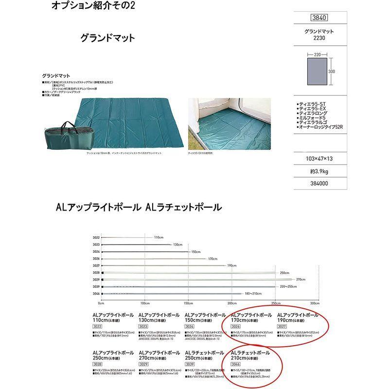 お値下げ ogawa(オガワ) アウトドア キャンプ テント ロッジ型 オーナーロッジ タイプ52R 5人用 2252 【UO1361926131】(48649円)