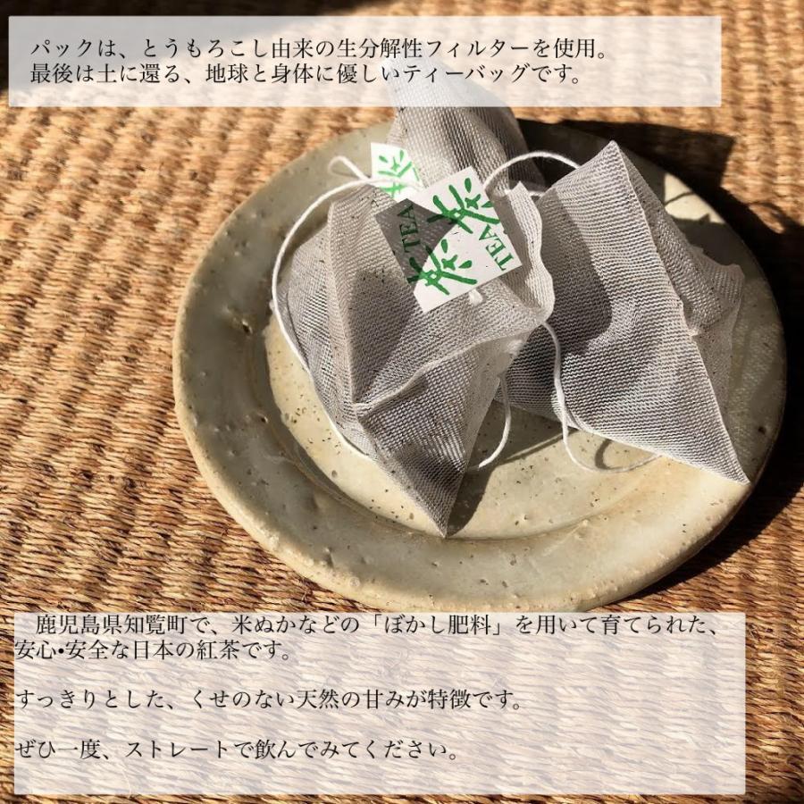 鹿児島 知覧 和紅茶 3g 5袋 安心 安全 国産 ティーバッグ 紅茶 国内産