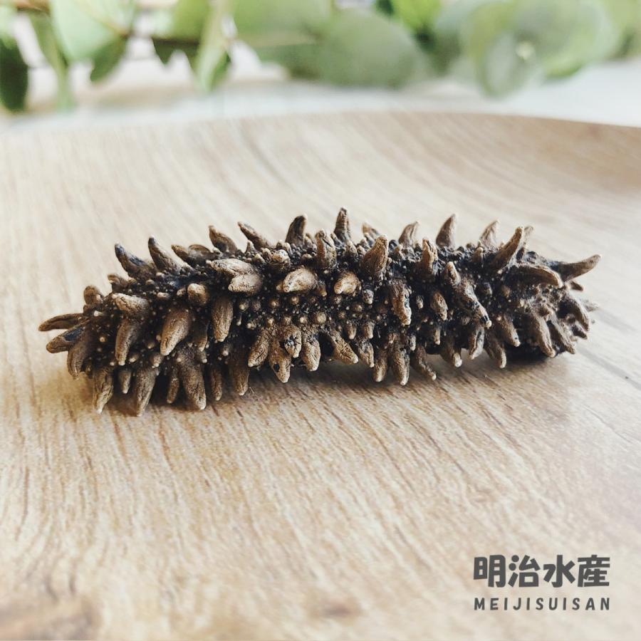 【アウトレット品】 北海道産 乾燥なまこ 3Lサイズ 天然 野生 厳選一級品 海参 500g 明治水産 【CE1749672520】(62500円)