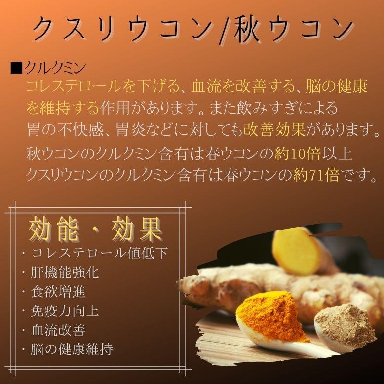 5種のウコン 秋ウコン 紫ウコン 春ウコン 黒ウコン クスリウコン ファイブスタープレミアム 肝臓 お酒 サプリメント 送料無料 明治美世界 明治薬品 Fivestarturmeric 明治元氣の駅 通販 Yahoo ショッピング