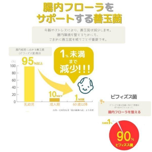 ラクトフェリン乳酸菌EX サプリ 1箱 30袋 レモン風味 乳酸菌 