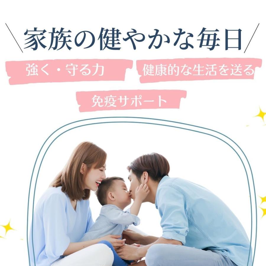 ラクトフェリン乳酸菌EX サプリ 1箱 30袋 レモン風味 乳酸菌 ビフィズス菌 1日目安 1袋 顆粒タイプ 免疫力 明治美世界 明治製薬 送料無料 |  | 02