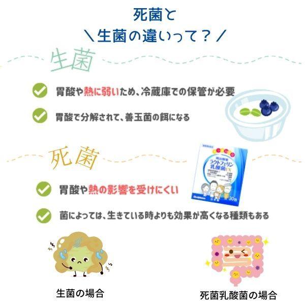 ラクトフェリン乳酸菌EX サプリ 1箱 30袋 レモン風味 乳酸菌 ビフィズス菌 1日目安 1袋 顆粒タイプ 免疫力 明治美世界 明治製薬 送料無料 |  | 04