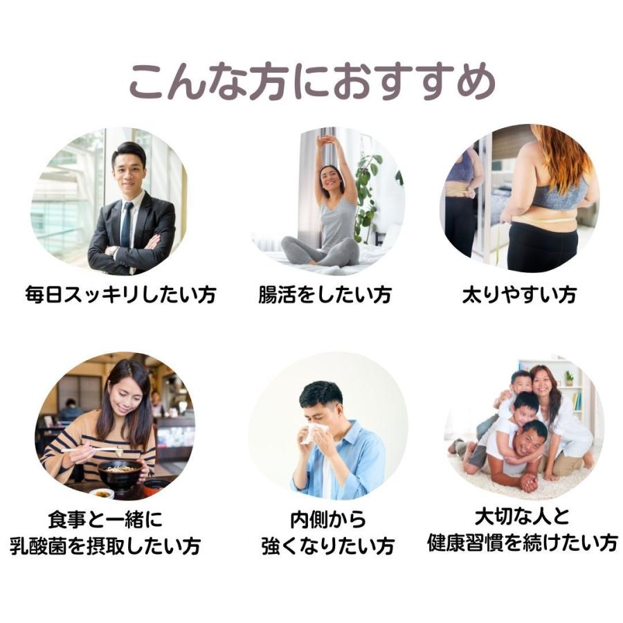 ラクトフェリン乳酸菌EX サプリ 1箱 30袋 レモン風味 乳酸菌 ビフィズス菌 1日目安 1袋 顆粒タイプ 免疫力 明治美世界 明治製薬 送料無料 |  | 05