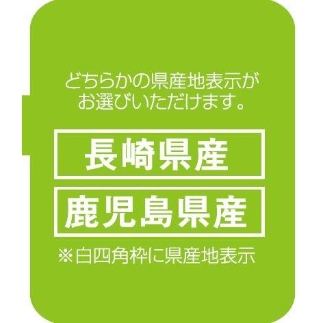 オーラパック 野菜鮮度保持袋 新じゃがいも イラスト入り 鹿児島県 5 000枚入 Arp 3151 株式会社 名城化成 通販 Yahoo ショッピング