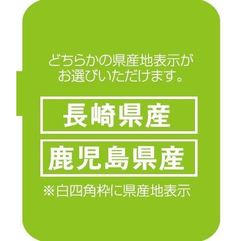 オーラパック 野菜鮮度保持袋 新じゃがいも イラスト入り 長崎県 5 000枚入 Arp 3154 株式会社 名城化成 通販 Yahoo ショッピング