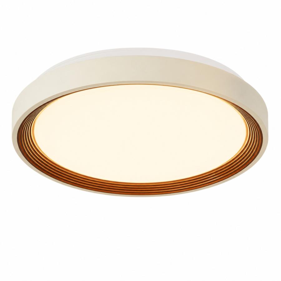 シーリングライト led 12畳 14畳 調光調色 薄形 リモコン付き LED