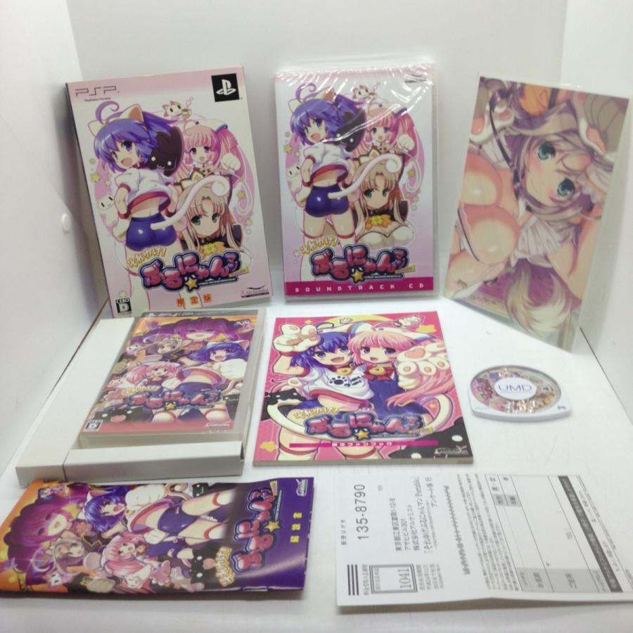 それゆけ!ぶるにゃんマンPortable 〜とりもどせ！あいとせいぎときぼう