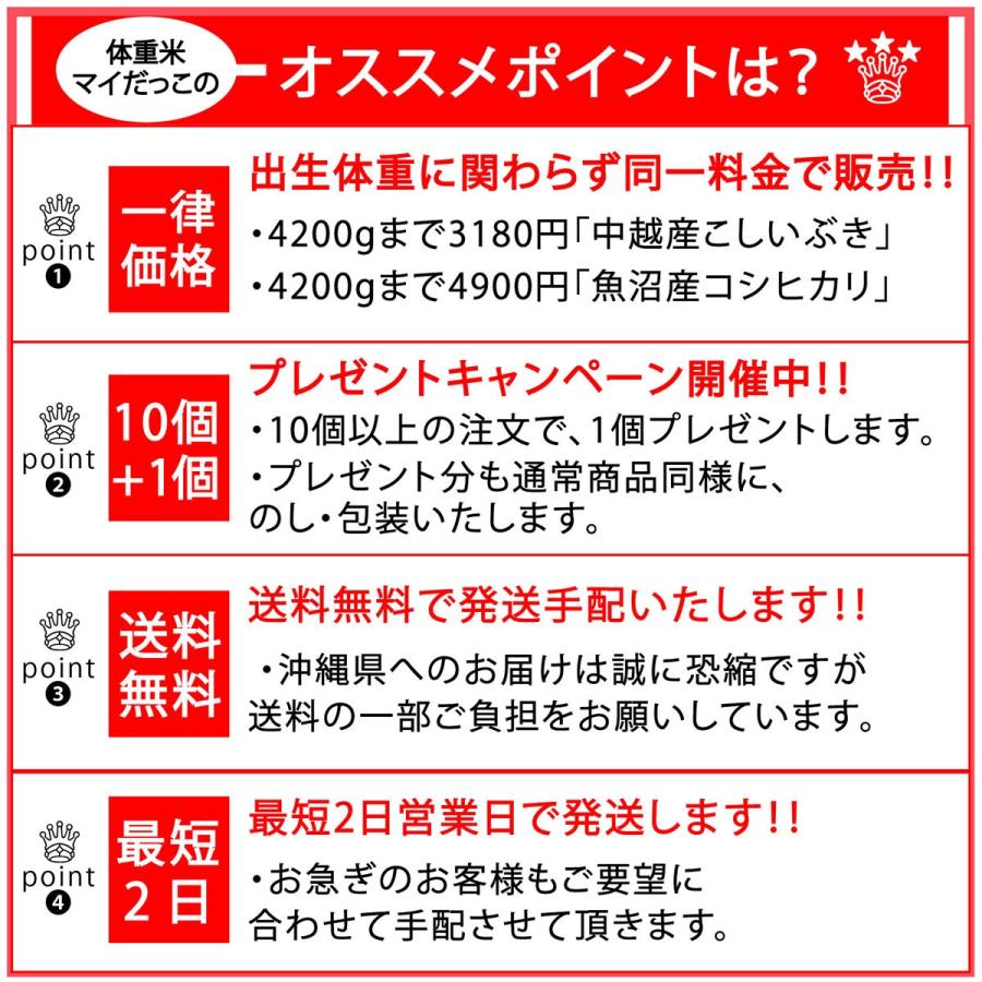 出産内祝い 名入れ 赤ちゃん 出生 体重米 一律価格（4200gまで4900円） マイだっこ 魚沼産コシヒカリ 送料無料 お米 ギフト 出産祝い お返し 内祝い｜meimai｜02